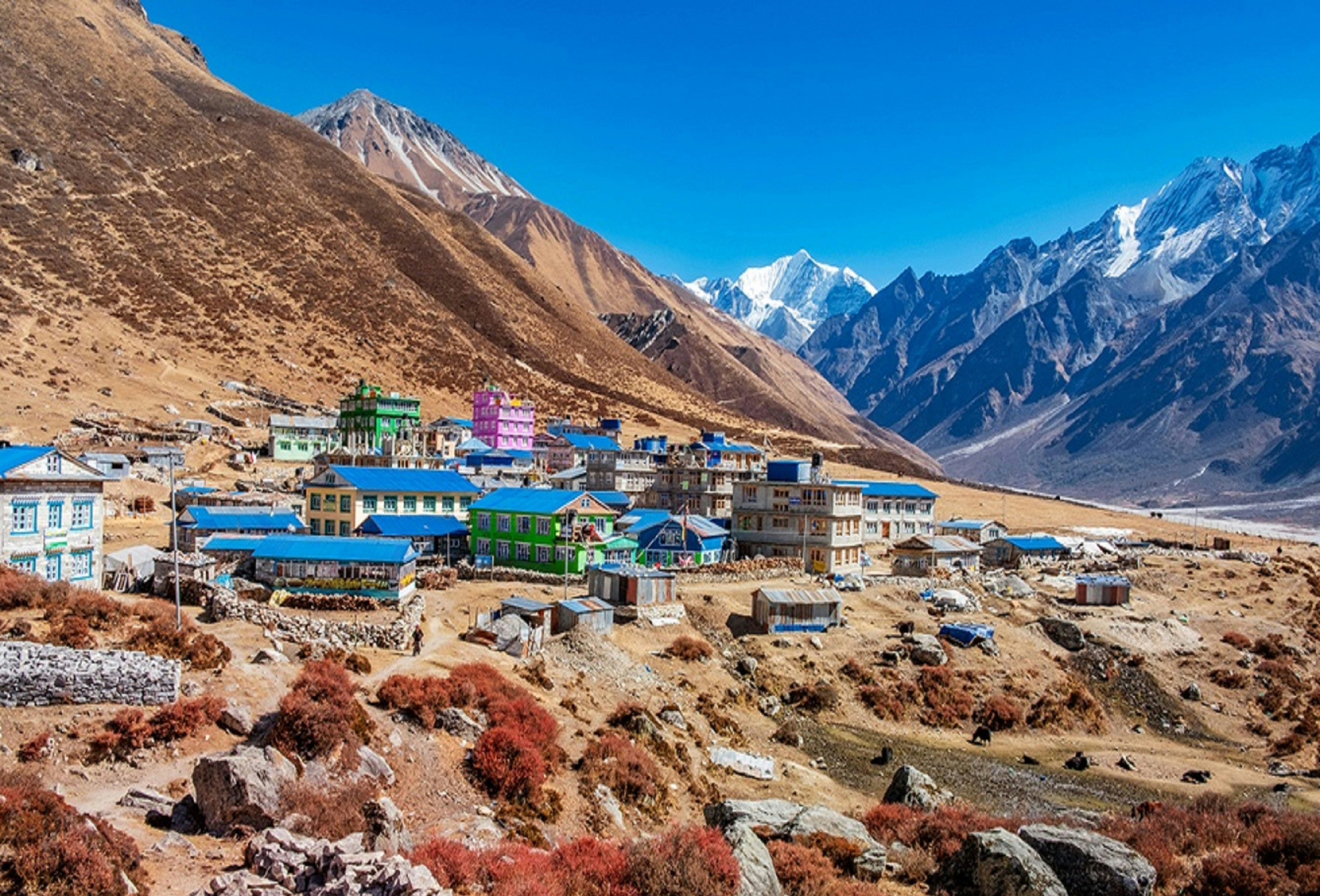 Langtang Valley Trek